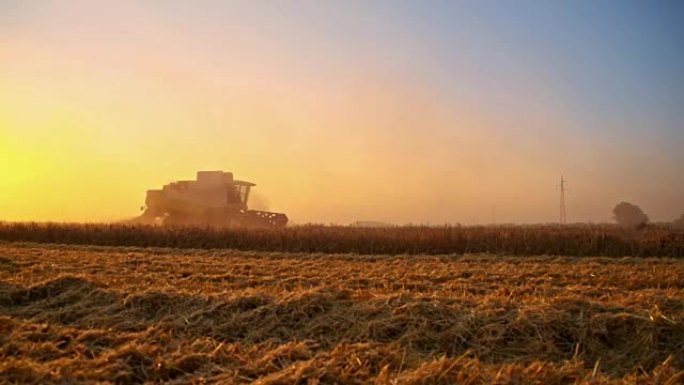 SLO MO结合在日出时在田间切割小麦