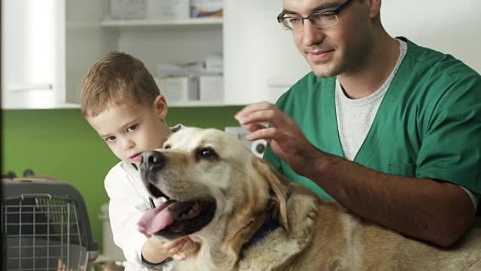 小兽医和狗