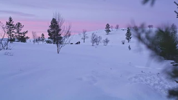 挪威黎明时分的LS狗拉雪橇