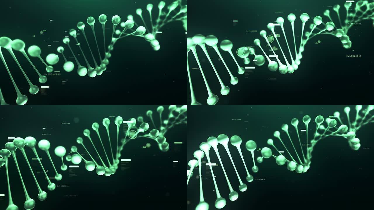 脱氧核糖核酸分子结构序列