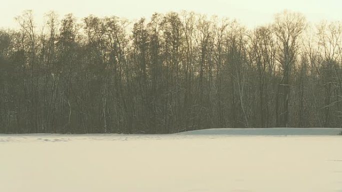 高清慢速运动：闪闪发光的雪花