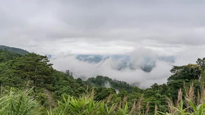 迷雾山运动雾