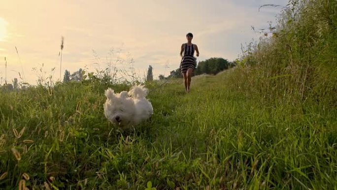 SLO MO女人和狗在草地上奔跑