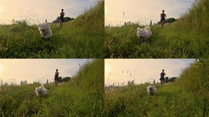 SLO MO女人和狗在草地上奔跑