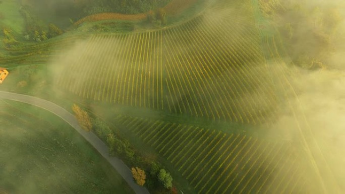 雾中的空中娱乐区三农业农田园耕地种植大米