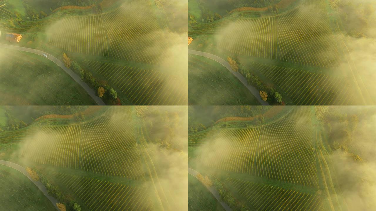雾中的空中娱乐区三农业农田园耕地种植大米