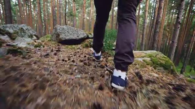 男性游客的腿在森林中行走的低角度视图，在树木的草地上踩着岩石和松果。徒步鞋类，人和冒险概念。