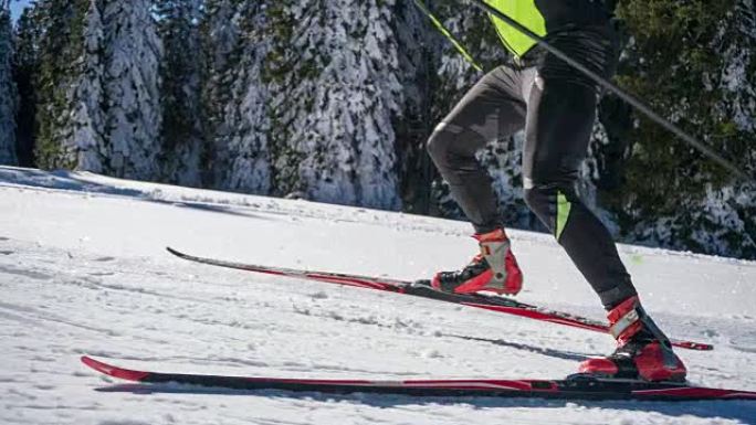坚定的越野滑雪者在森林旁上坡滑雪