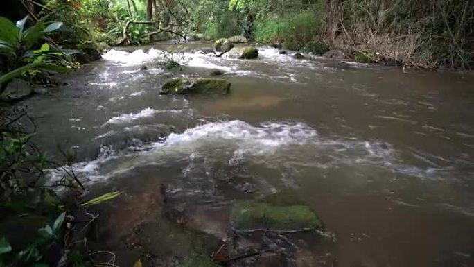 雨林里流动的水。山间溪流溪水