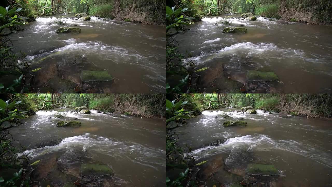 雨林里流动的水。山间溪流溪水