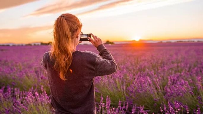 年轻的女游客在日落时拍摄薰衣草田的照片