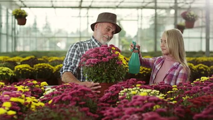 祖父和孙女在工作祖父和孙女在工作花卉种植