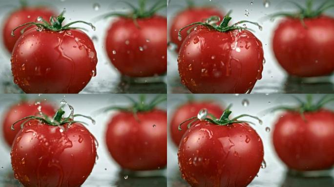 SLO MO水滴落在新鲜番茄上