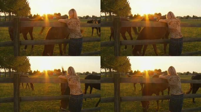 高清：女人在围场里看她的马