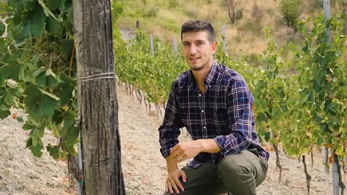 一名男子在葡萄园里，带着微笑的平板电脑检查了他的葡萄可追溯性，并为他的意大利葡萄酒的生产而种植。