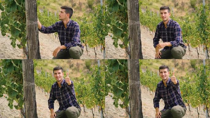 一名男子在葡萄园里，带着微笑的平板电脑检查了他的葡萄可追溯性，并为他的意大利葡萄酒的生产而种植。