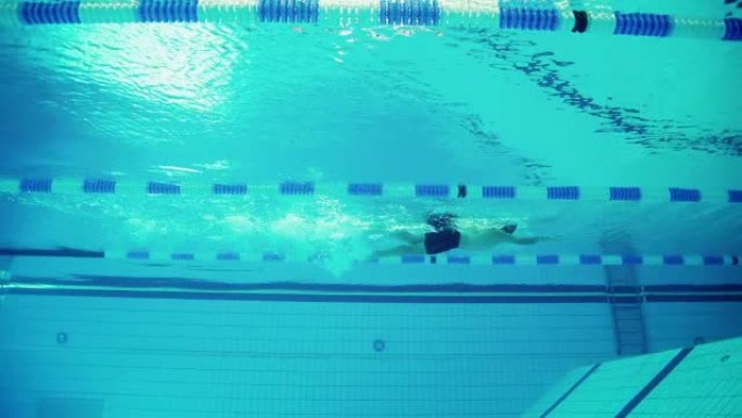 水中运动员学游泳游泳池水下拍摄游泳