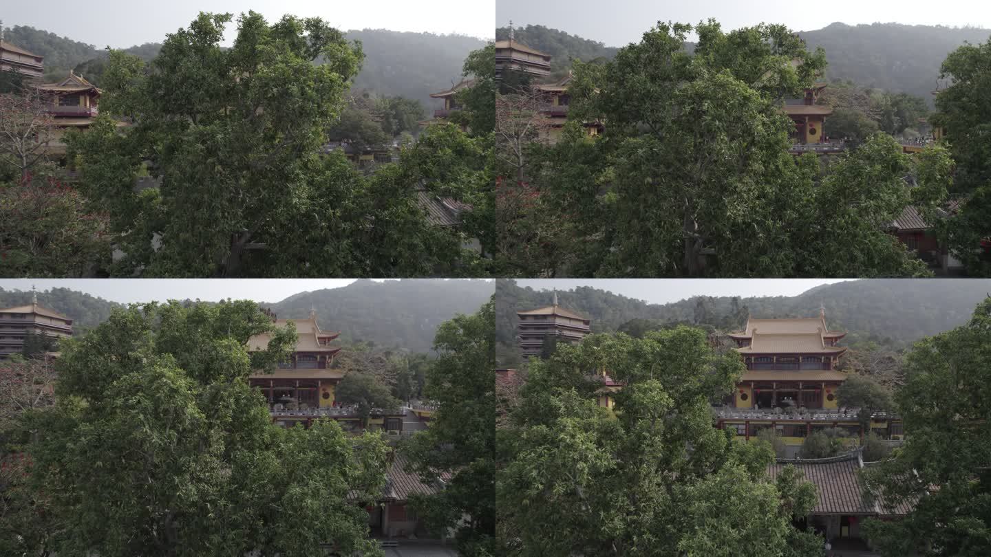 厦门 海沧 石室禅院 寺庙 宣传片 片头