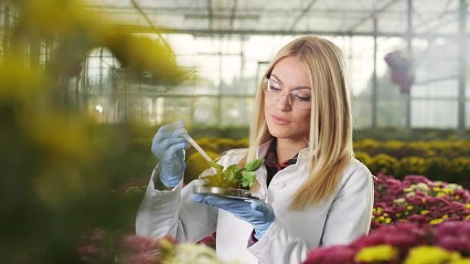 温室中的年轻女生物学家