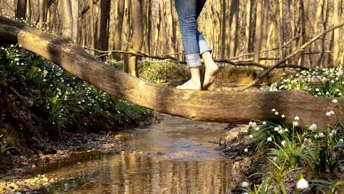 DS走过一条小溪独木桥平衡木溪水
