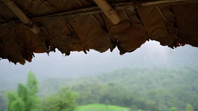 女士在泰国北部的叶屋顶小屋下雨。