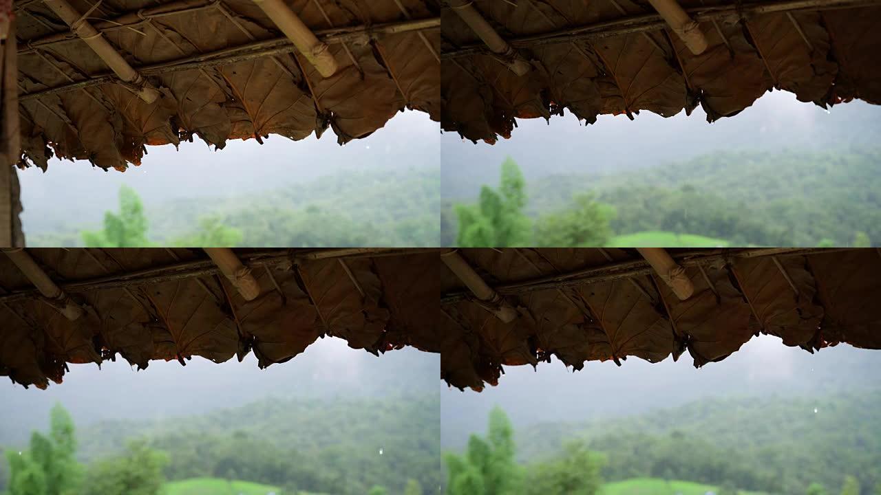 女士在泰国北部的叶屋顶小屋下雨。