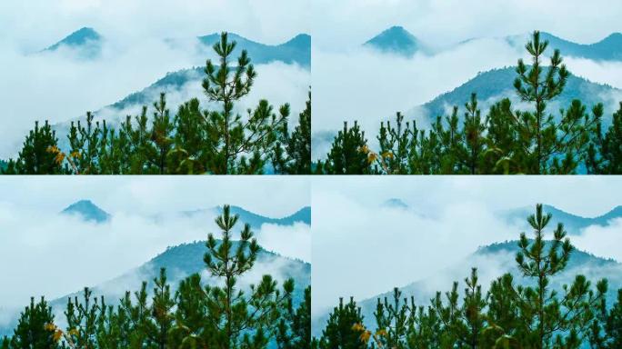 山上的雾山脉延时大山云海自然景观