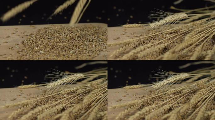 HD SUPER SLOW-MO：小麦穗落在谷粒上