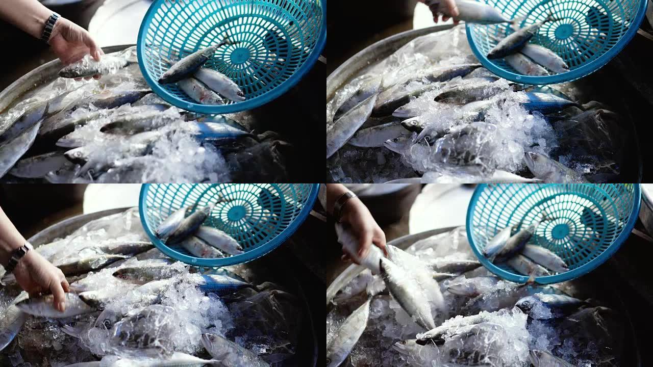 越南芹苴省传统蔡朗新鲜市场顾客选择鱼类的4k镜头场景
