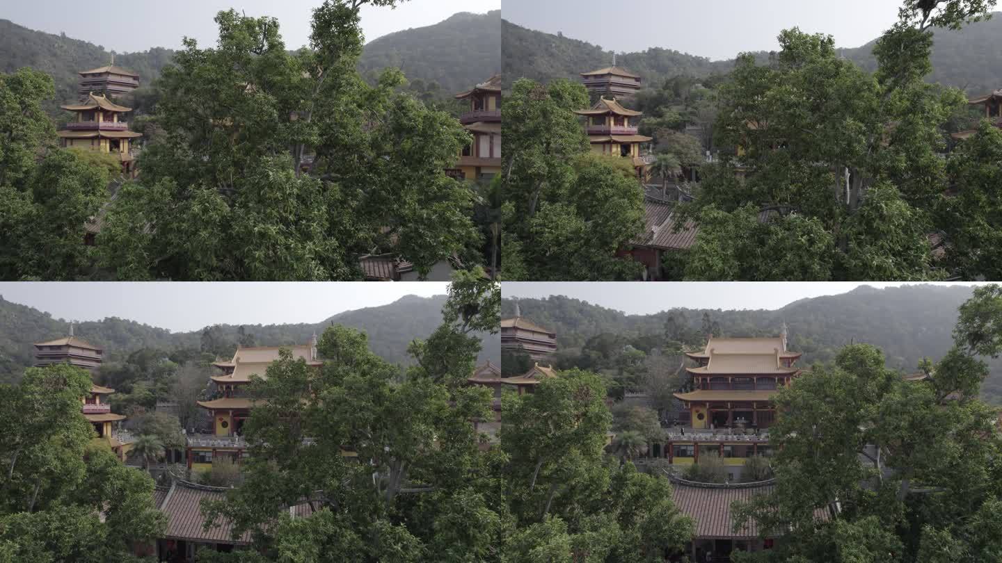 厦门 海沧 石室禅院 寺庙 宣传片 片头