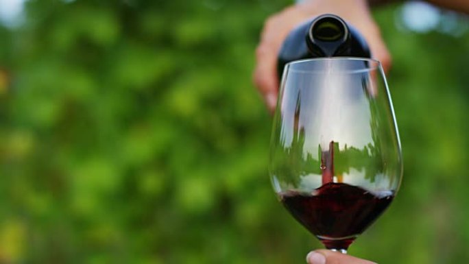 中年侍酒师的慢动作混合并控制在风景优美的葡萄园全景背景上倒入透明玻璃杯中的红酒的颜色 (特写)