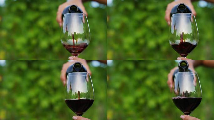 中年侍酒师的慢动作混合并控制在风景优美的葡萄园全景背景上倒入透明玻璃杯中的红酒的颜色 (特写)