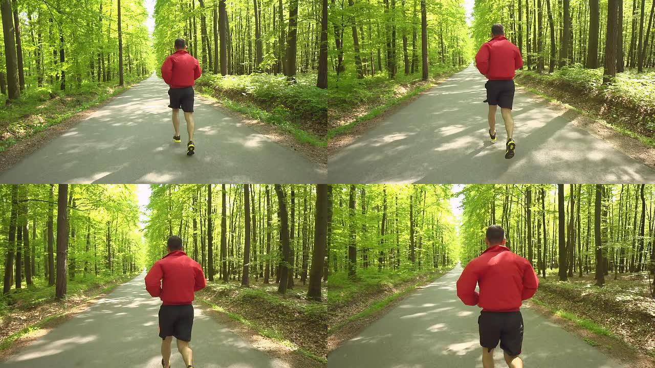 高清稳定: 在绿色森林中慢跑