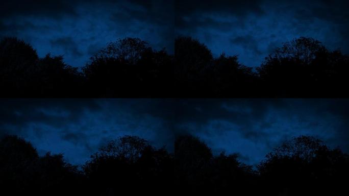 夜空在树后移动仰望仰视傍晚黄昏逆光剪影