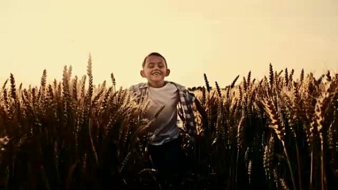 SLO MO快乐的小男孩在麦田里奔跑
