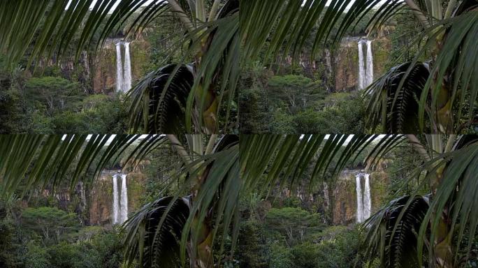 从棕榈树后面看热带瀑布