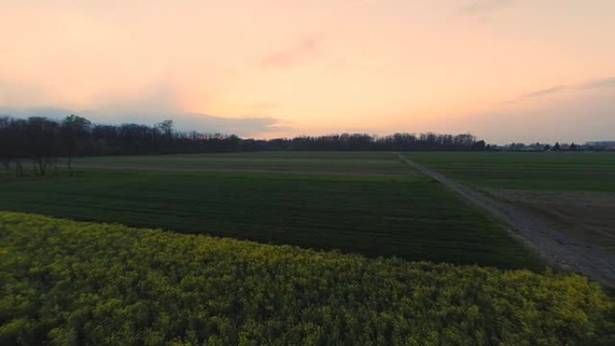 高清直升机: 田野之间的土路