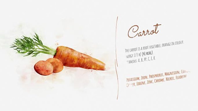 胡萝卜及其有益特性