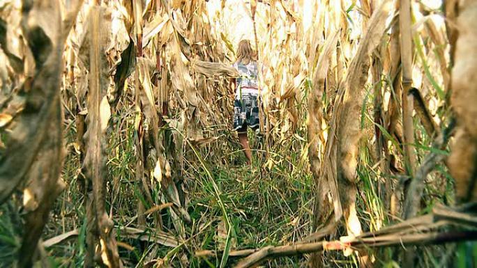 高清慢速动作：女孩在玉米地里奔跑