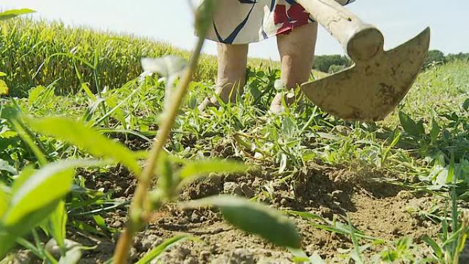 HD慢速运动：野外除草