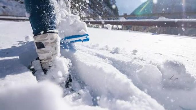 冬季景观中的雪鞋行走