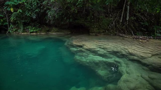 古巴热带雨林中的天然游泳池