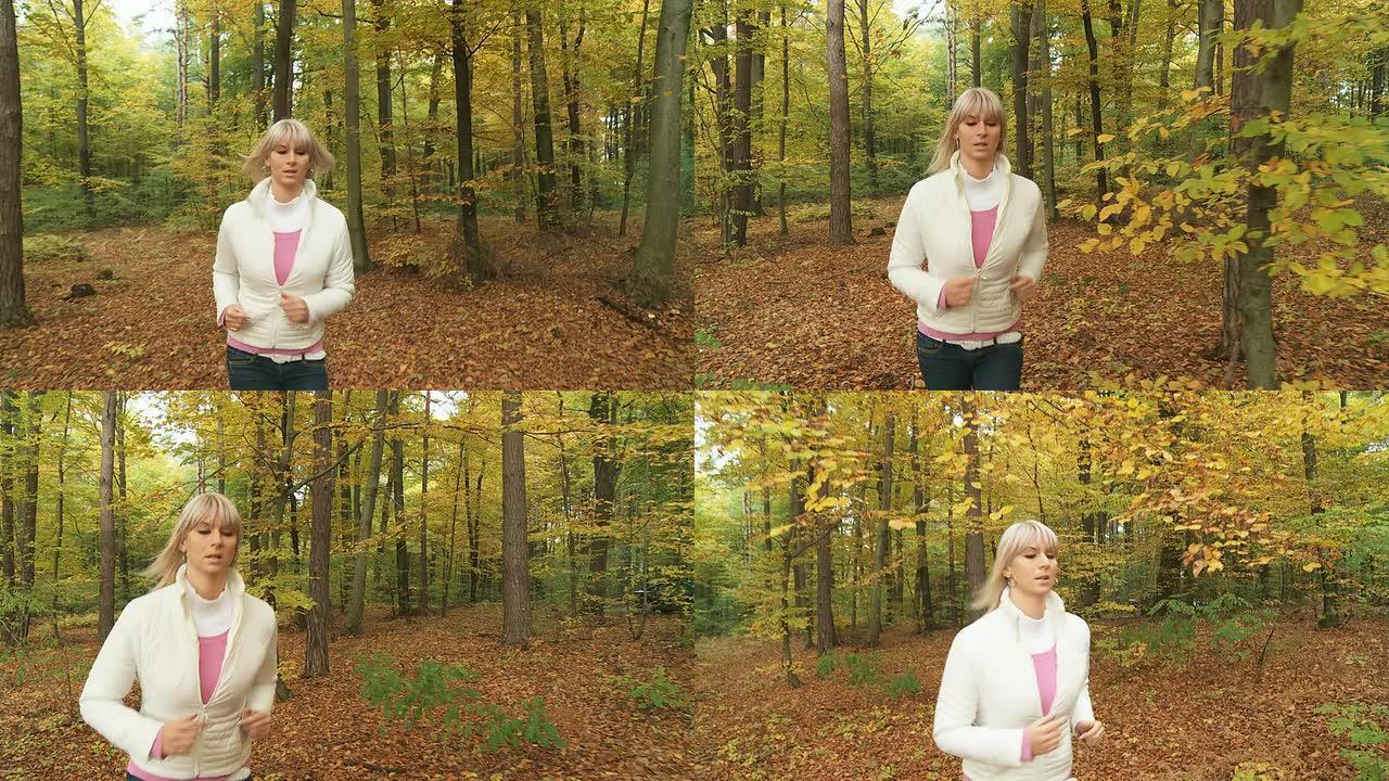 高清稳定镜头：年轻女子在秋天的森林里慢跑
