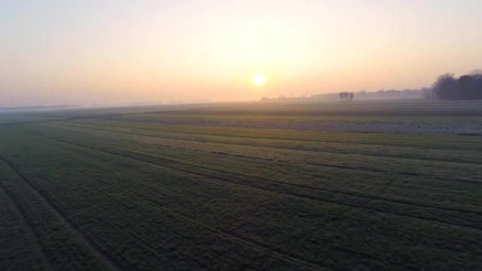 高清直升机: 黎明时耕种的田地