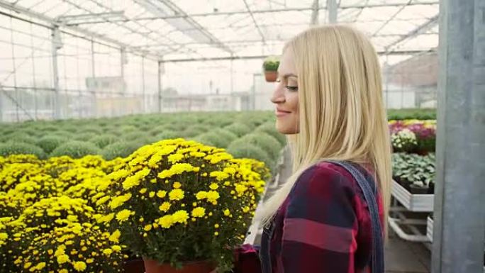 花园中心的女花店花园中心的女花店种植大棚