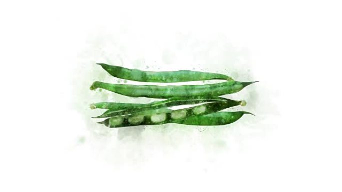 绿豆是动画的水彩豌豆荚