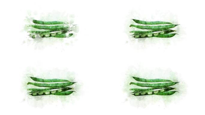 绿豆是动画的水彩豌豆荚