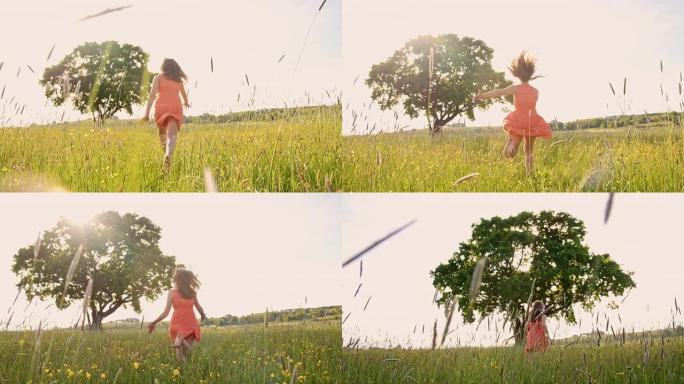 TS女孩赤脚在草地上奔跑