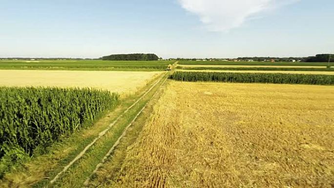 小麦空运包农田航拍三农良田粮食种植