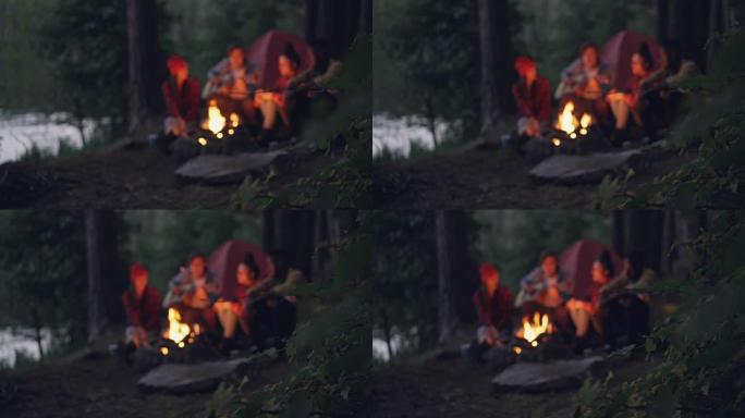 模糊的镜头，旅行者浪漫的年轻人坐在森林的篝火旁，弹吉他和唱歌。关注前景有叶子的树枝。